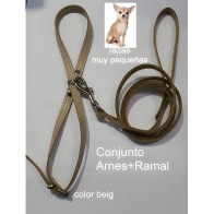 Harness and Leash for Small Breeds - Comfortable & Stylish