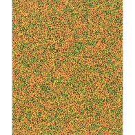 M -nutribird B14 800 Gr.