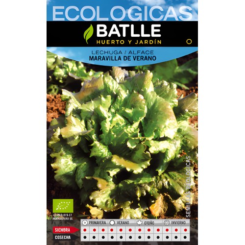 Lechuga Maravilla De Verano- Eco