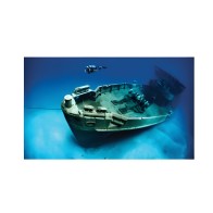 Vinyl Poster Fish 61x40cm for Aquariums