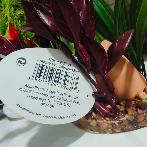 Planta Y Vasija C/base (20 Cm.) Difusor