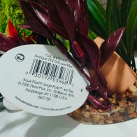 Planta de Acuario con Base de PENN-PLAX