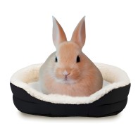 Bunny Bed 38x31 cm - Cozy Retreat for Rabbits