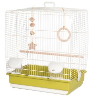 Cream/Olive Bird Cage 641
