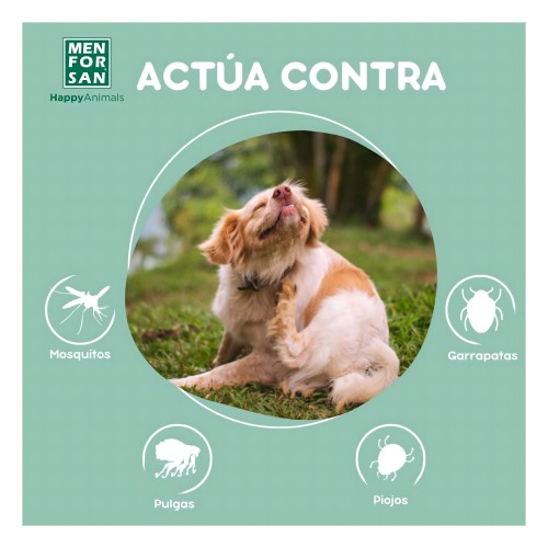 Champú Menforsan Repelente C/ Citronela 5 Litros