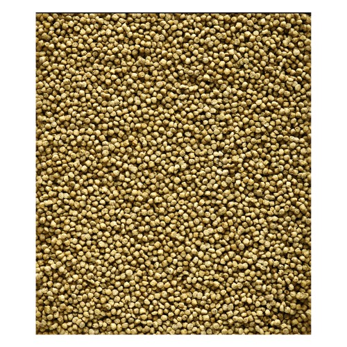 Nutribird C19 Original Bird Food 3 Kg for Canaries and Finches