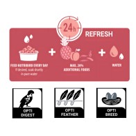 Nutribird C19 Original 3 Kg.