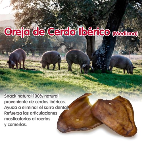 Orejas De Cerdo Ibérico Mediana