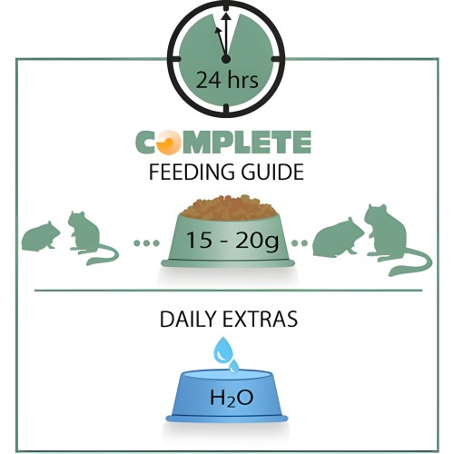 Hamster & Gerbil Complete 500g de VerseleLaga