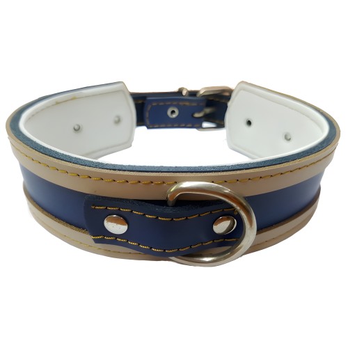 White Galgo Collar with Blue Edge
