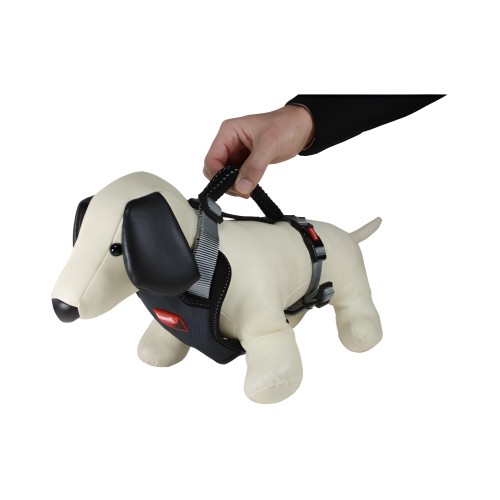 Kumfi 3-point Harness Grey