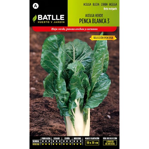 Swiss Chard Green White Seed Pack