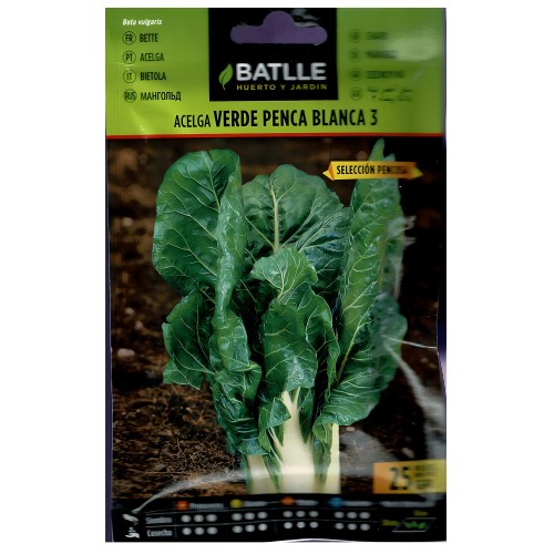 Swiss Chard Green White Seed Pack