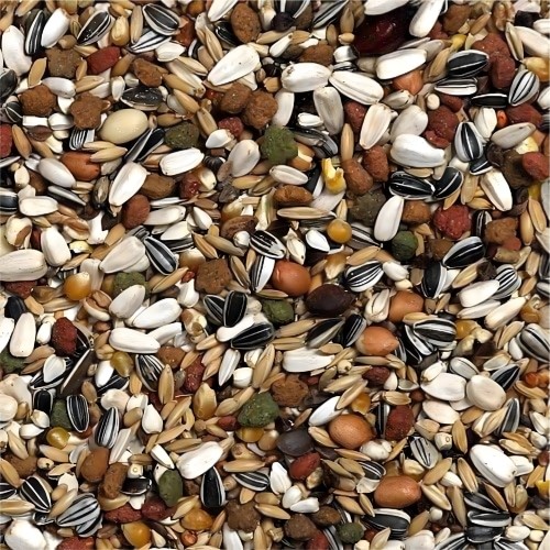 African Parrot Mix 2.5 Kg by Versele-Laga