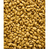 NutriBird P15 Original - Parrot Food