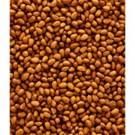 Nutribird G14 Original 1kg - Comida Equilibrada para Periquitos