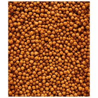 Nutribird F-16 - Complete Bird Food for Insectivores and Frugivores