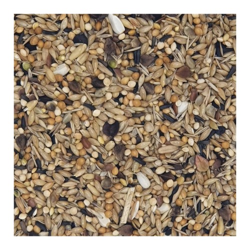 Neophema Seed Mix - 20 kg