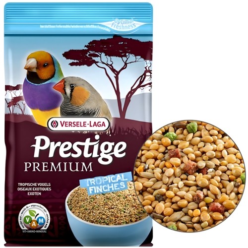Exoticos Prestige Premiun 800 Gr.