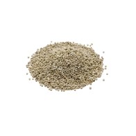 White Perilla Seeds 3 Kg - Prodac