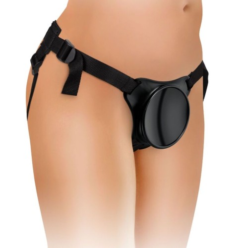 Elite Adjustable Beginner Harness without Hassles