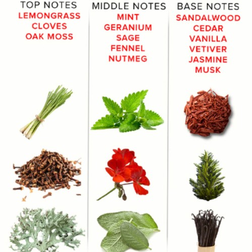 Eol Perfume Feromonas 10 Ml - Romantic