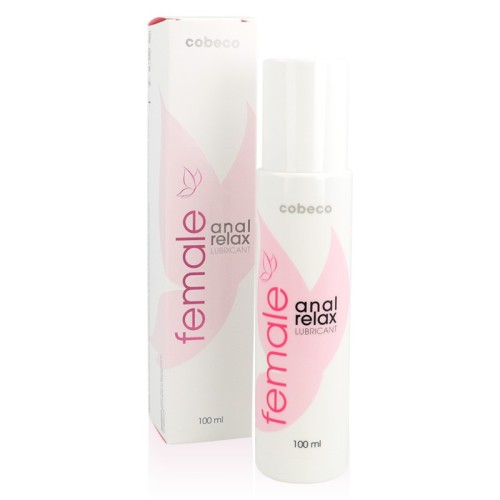 Anal Relax Lubricant 100ml for Comfort Use