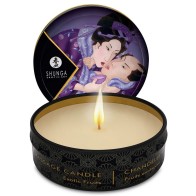 Shunga Mini Caress Massage Candles Display Set