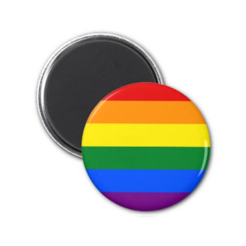 LGBT Flag Pride Magnet