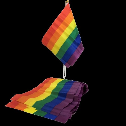 Small LGBT Pride Flag for Celebration
