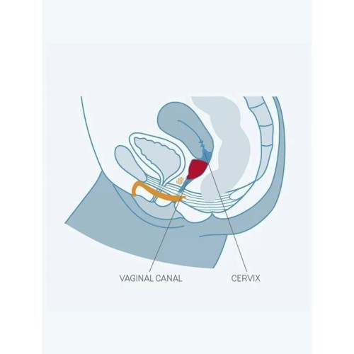 Fun Cup Size B Menstrual Cup - Grape