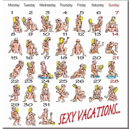 Kamasutra Magnetic Calendar for Fun Décor