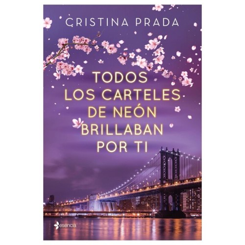 Neon Sign All the Lights Shone for You - Romantic Novel