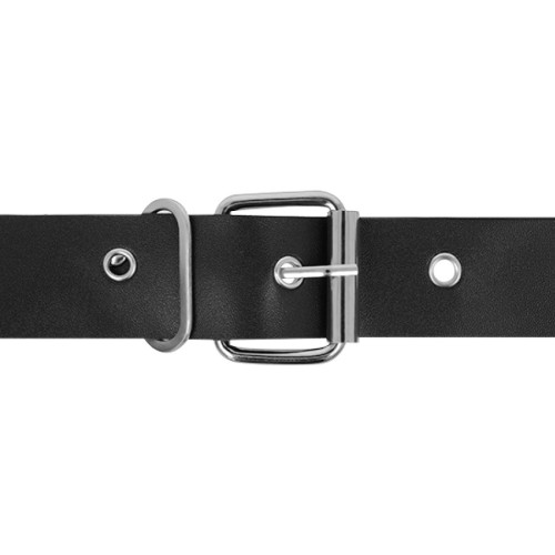 Harness Taylor Deluxe for Enhanced Intercourse