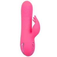 Sacramento Sweetie Rabbit Vibrator for Intense Pleasure