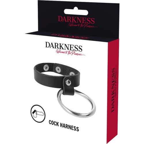 Darkness Metal Cock & Ball Ring