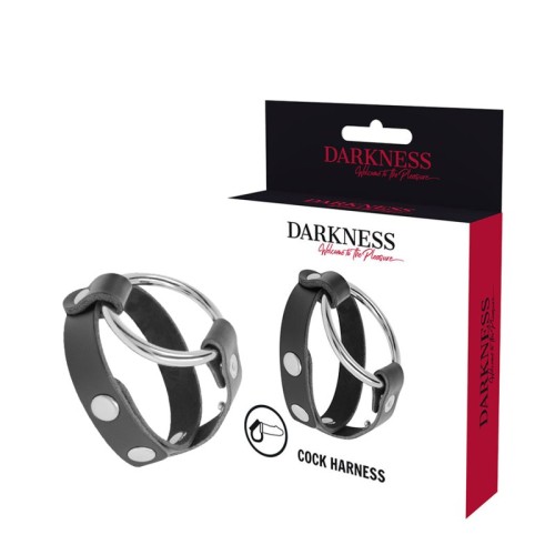 Darkness Penis and Testicle Ring Bondage | BDSM Pleasure