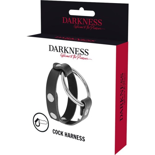 Darkness Penis and Testicle Ring Bondage | BDSM Pleasure