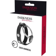 Darkness Penis and Testicle Ring Bondage | BDSM Pleasure