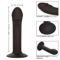 Curved Anal Stud Exciting Backdoor Pleasure