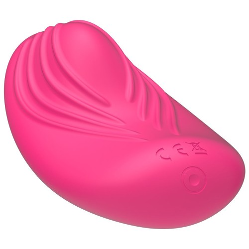 Panty Vibrator Remote - Discreet Pleasure