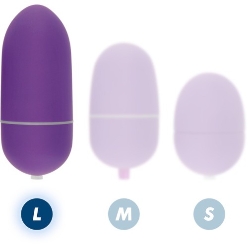 Remote Control Vibrating Egg L