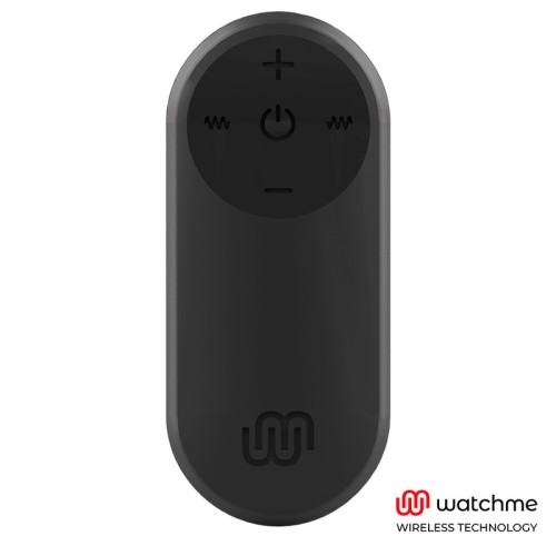 Universal Remote Control for Toys