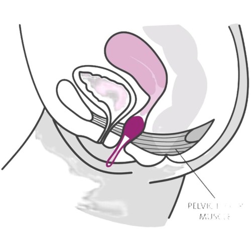 Smartball Uno Pelvic Ball