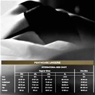 Penthouse Classified Thong in Orange L/XL