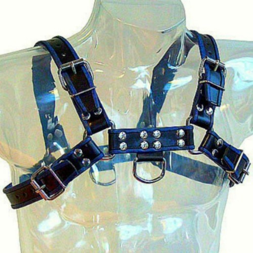 Blue and Black Leather Chest Bulldog Harness