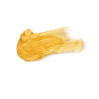 Secretplay Pretty But Wild Glow Body Oil