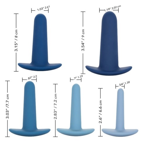 Set de Entrenamiento Anal Portable - 5 Sondas Únicas para Explorar