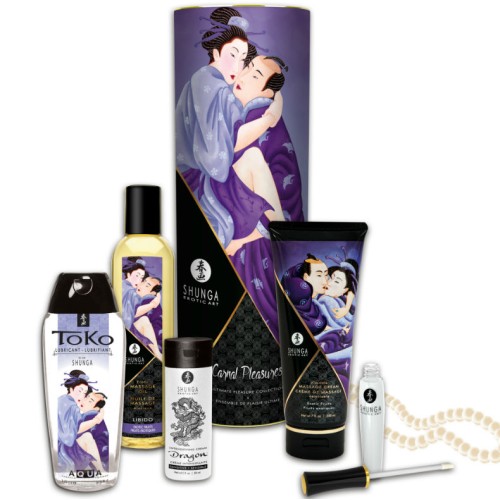 Shunga Collection of Carnal Pleasures Kit