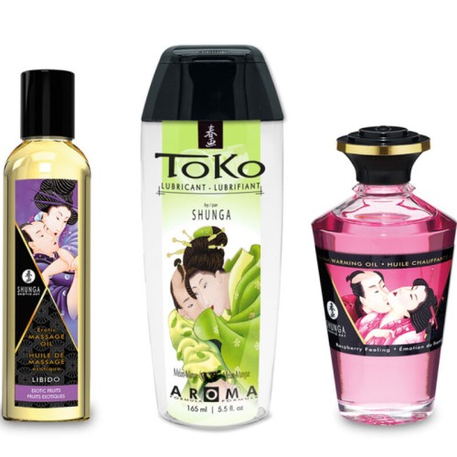 Shunga Fruity Kisses Collection Kit - Sensual Delight